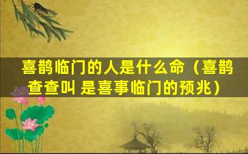 喜鹊临门的人是什么命（喜鹊查查叫 是喜事临门的预兆）